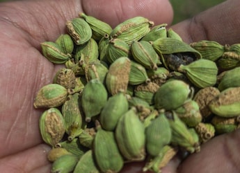 Which Place In India Is Known As The 'Land Of Elaichi'?