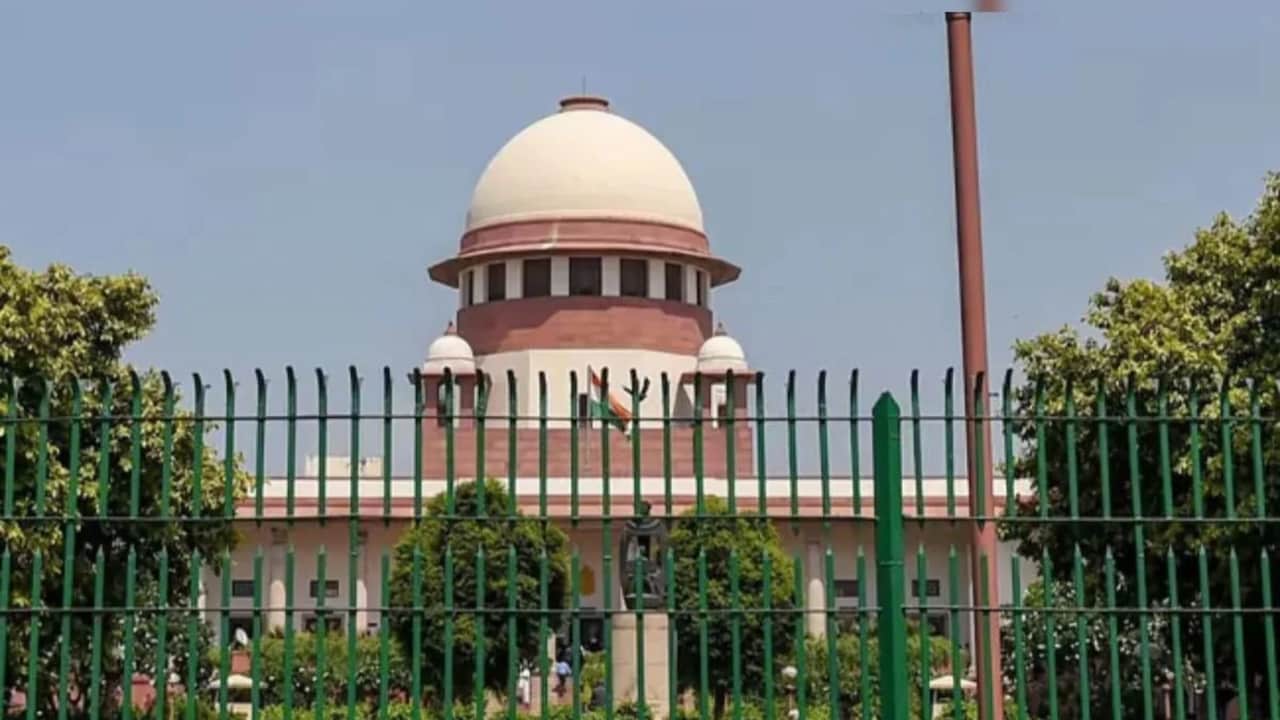 'निर्भया कांड जैसी दर्दनाक समानताएं'.. दिल्ली- NCR में रेप की घटनाओं पर सुप्रीम कोर्ट की सख्त टिप्पणी