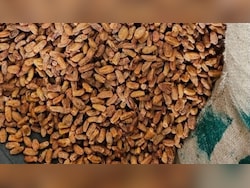 362 Metric Tonnes Of Pak Dates Hidden Behind UAE Labels Seized In Maharashtra