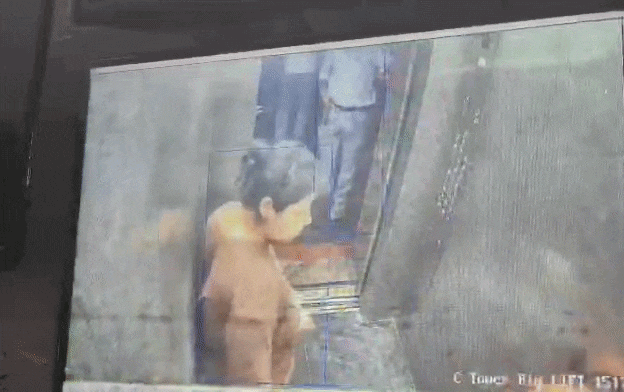 गाजियाबाद की सोसायटी में Lift से कुत्ता ले जाने का विवाद, महिला ने लेडी टीचर को डंडे से पीटा, VIDEO