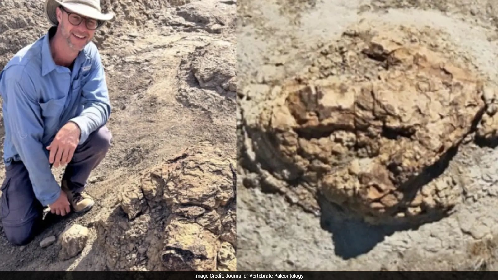 Teacher Discovers First Adult T. Rex Trackway in North Dakota