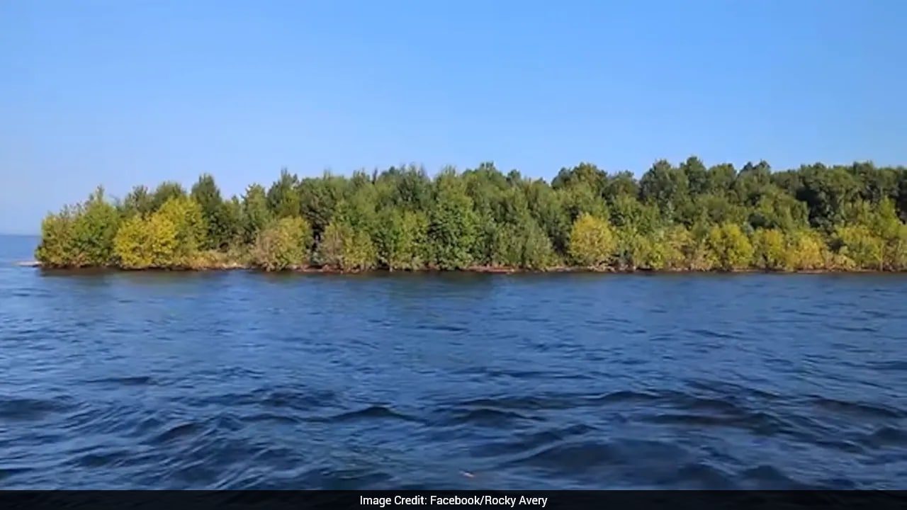 Mysterious Floating Island Appears And Vanishes In Canadian Reservoir