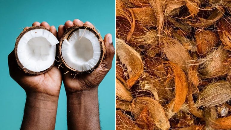 नारियल छीलने का सबसे आसान तरीका, जानें कैसे बिना गंदगी फैलाए मिनटों में निकालें नारियल
