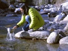 Delhi Lawyer Visited Manali On A Solo Trip During Covid And Never Moved Back