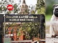 पति के पीछे वोडाफोन ऐड वाले डॉग तरह नहीं चल सकती पत्नी, तलाक केस में कोर्ट का फैसला