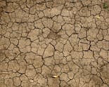 India Logs Driest Monsoon Since 2015 As June-Sept Rains End 12.6% Below Normal