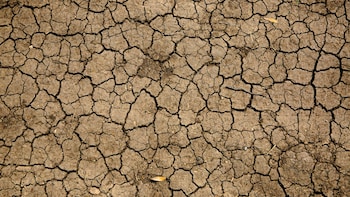 India Logs Driest Monsoon Since 2015 As June-Sept Rains End 12.6% Below Normal