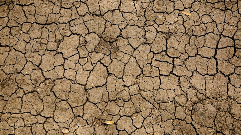 India Logs Driest Monsoon Since 2015 As June-Sept Rains End 12.6% Below Normal