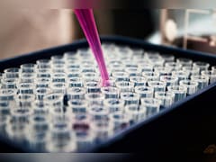 Novo Shares Plunge 6% Despite CagriSema Beating Lilly In Diabetes Trial (HOLD)