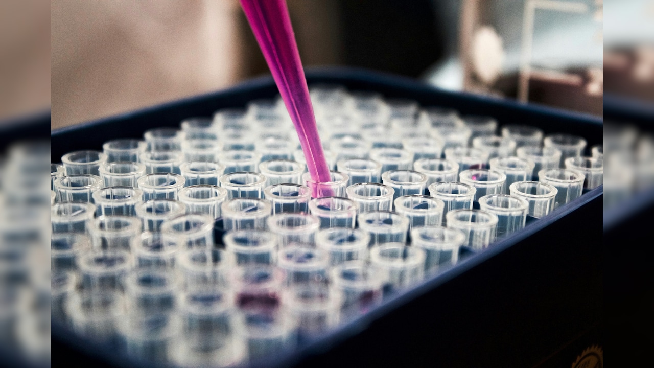 Novo Shares Plunge 6% Despite CagriSema Beating Lilly In Diabetes Trial (HOLD)