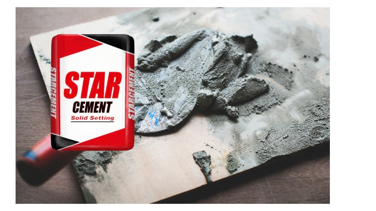 Star Cement Shares In Focus As HDFC Securities Stays Bullish On Strong Growth Outlook — Check Target Price