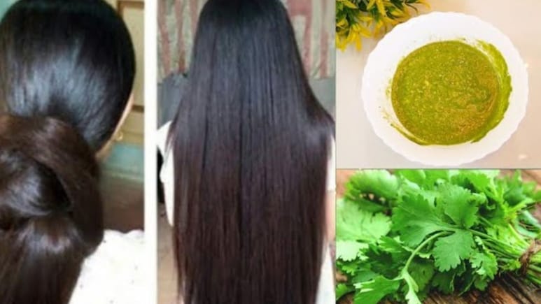 धनिया का पानी बालों में लगाने के क्या फायदे हैं? जानिए Hair Growth के लिए इसका सही इस्तेमाल
