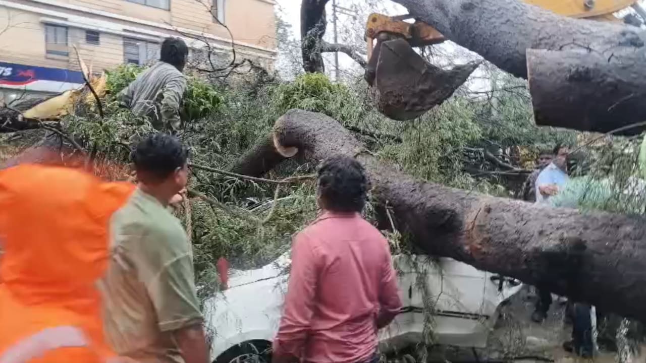 Indore accident news: पेड़ गिरने से बुरी तरह दब गई थी कार.