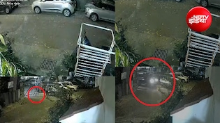 दिल्ली की पॉश सोसायटी में तेज रफ्तार बोलेरो का तांडव; गेट से टकराई गाड़ी, कम्युनिटी डॉग 'छोटी' गंभीर घायल