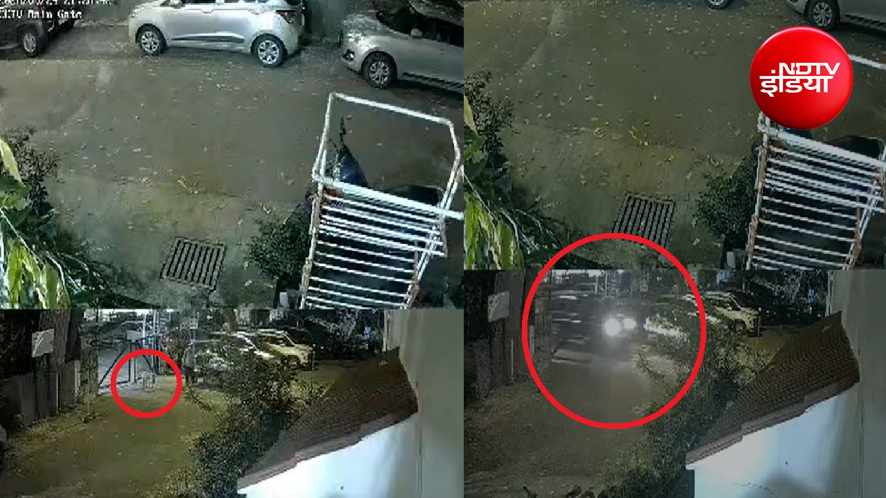 दिल्ली की पॉश सोसायटी में तेज रफ्तार बोलेरो का तांडव; गेट से टकराई गाड़ी, कम्युनिटी डॉग 'छोटी' गंभीर घायल