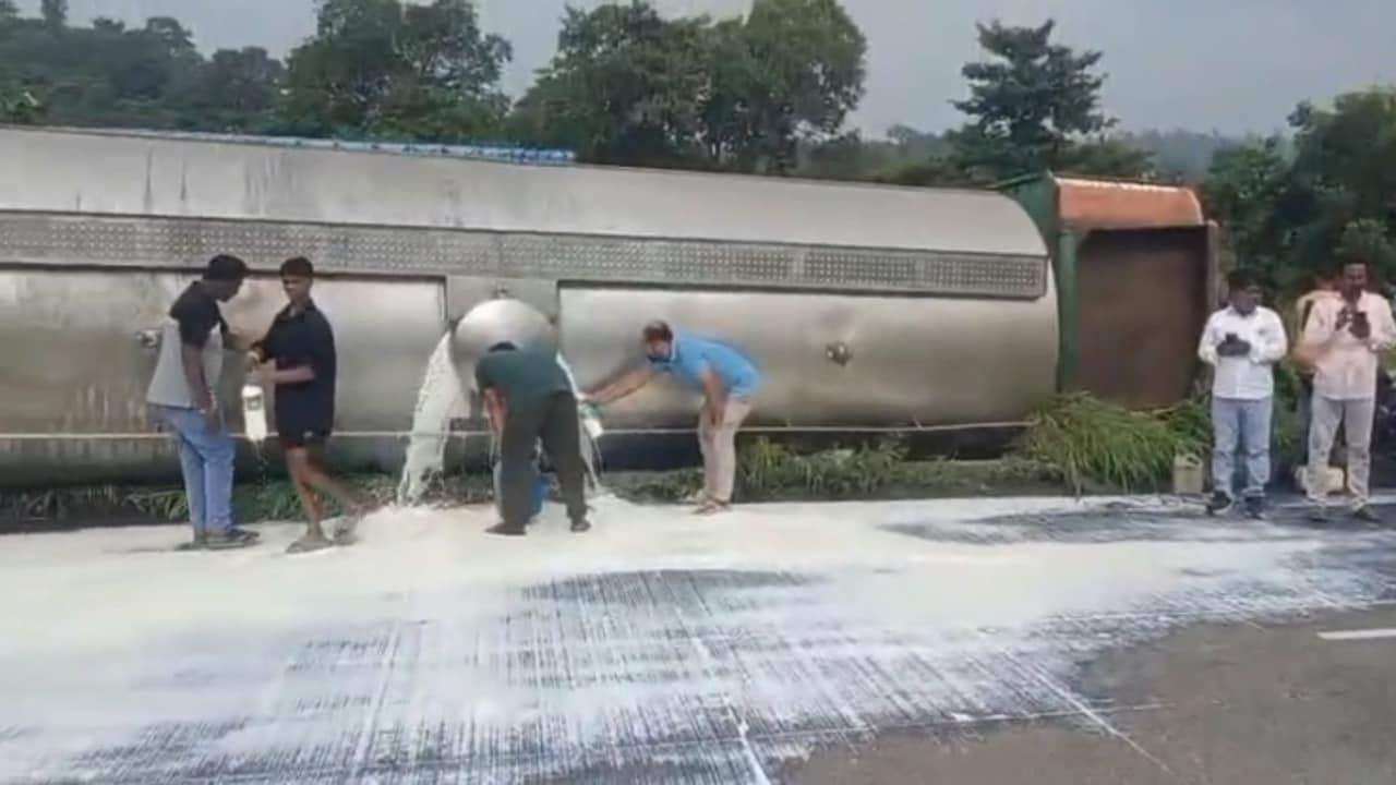 Video: Highway 'Whitewashed' After Milk Tanker Overturns In Maharashtra