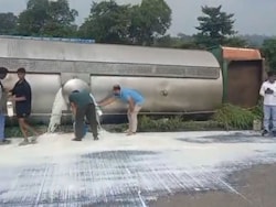 Video: Milk Flows On Highway After Tanker Overturns In Maharashtra
