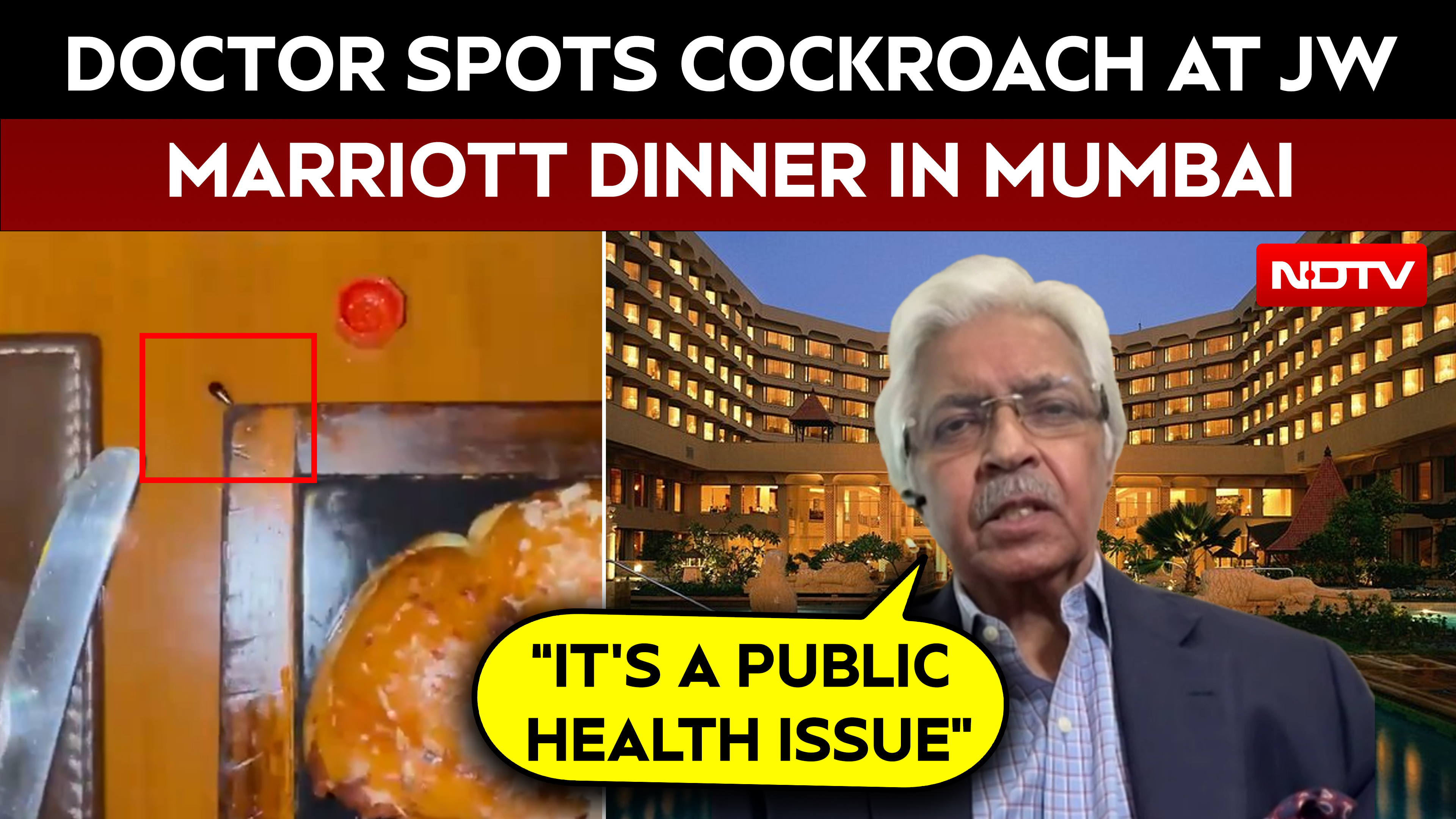 'It's A Public Health Issue': Cardiologist Flags Food Safety Risks After JW Marriott Cockroach Incident