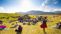 Ziro Festival 2026: How To Reach, Where To Stay, Tickets And Full Event Details