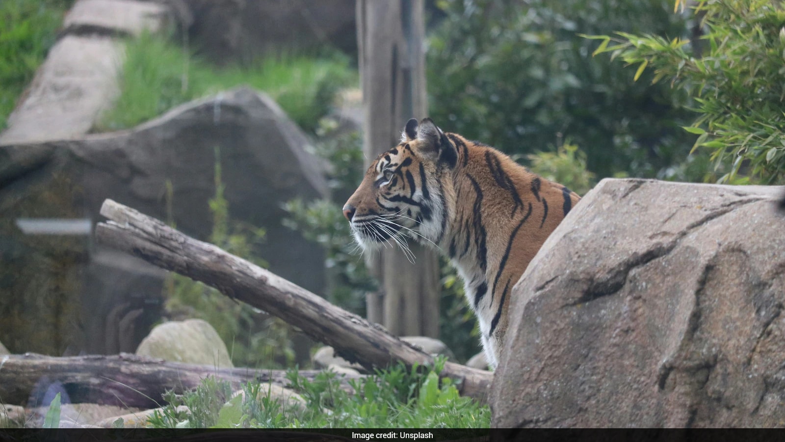Chester Zoo Fixes Awkward 'Child Predator Tour' Listing