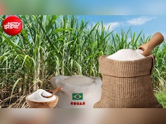 त्योहारों से पहले चीनी को लेकर सरकार के 2 बड़े फैसले, स्टॉक लिमिट दोगुनी, किसानों को ₹365 का FRP, क्या सस्ती होगी चीनी?