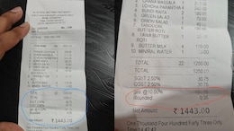 Rajasthan Restaurant Bill Goes Viral After Diner Spots Separate 'Gas' Charge