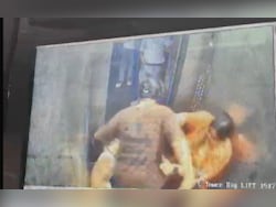 Dog In Lift Triggers Fight In Ghaziabad Society, Woman Hits, Slaps Teacher