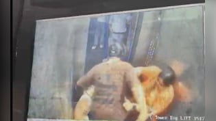 Dog In Lift Triggers Fight In Ghaziabad Society, Woman Hits, Slaps Teacher