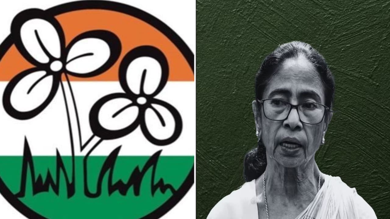Analysis: As 2 Flowers In Trinamool Symbol Split, Questions About Party's Future