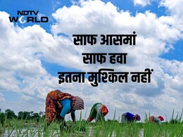 पॉल्यूशन को रोकने के लिए करने होंगे बस 6 उपाय, 1 रुपया खर्च करने पर सरकार को 15 रुपये का फायदा: रिपोर्ट