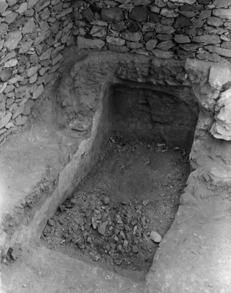 king tutankhamun tomb discovery pharaoh mummy curse story how howard carter made history