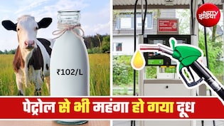 दूध के दाम पेट्रोल के पार...दिल्&zwj;ली, नोएडा, गाजियाबाद में जितने का मिल रहा पेट्रोल, मुंबई में उससे महंगा दूध