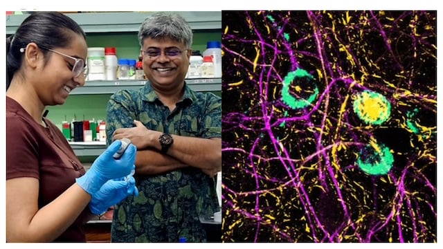 The CCMB team has made a breakthrough