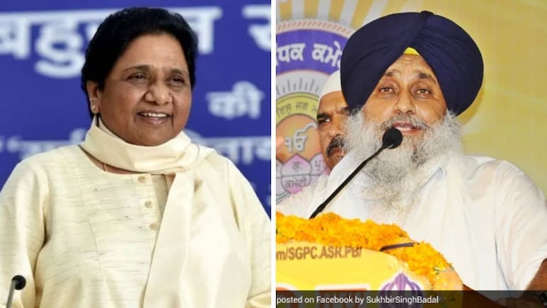 Analysis | Why Mayawati's Solo Call Hurts Akali Dal More In Symbol Than Seats