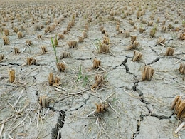 Maharashtra Declares Drought In 74% Of State, 265 Of 358 Talukas Affected