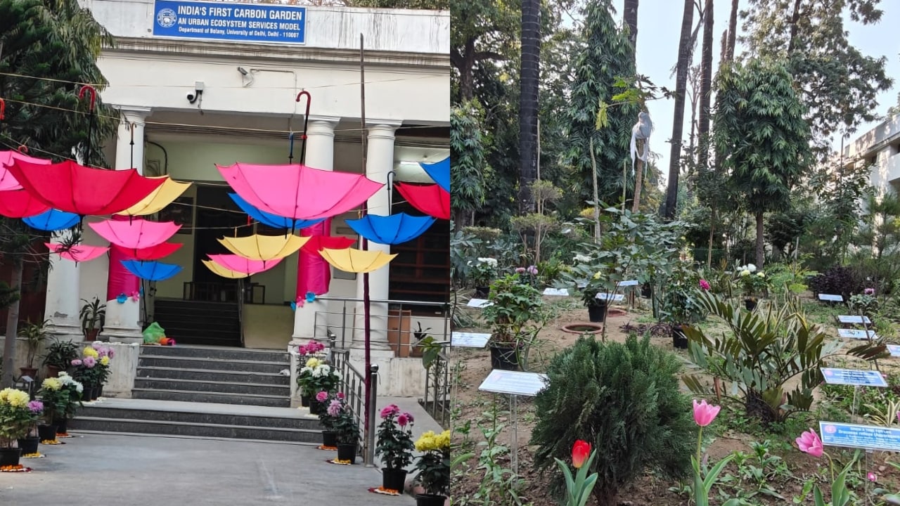 DU Inaugurates India's First Carbon Garden, Vice-Chancellor Warns Of 'Pollution Capital'