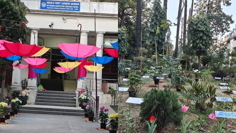 DU Inaugurates India's First Carbon Garden, Vice-Chancellor Warns Of 'Pollution Capital'