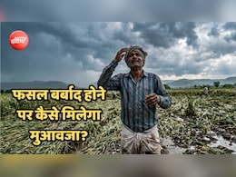 बारिश-ओलों से धान-मूंग, तिल जैसी फसलें बर्बाद, सरकार से मुआवजा चाहिए, तो याद रखें ये 5 बातें