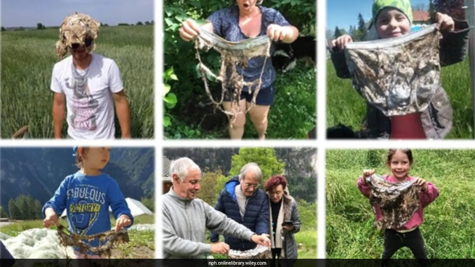 Scientists Asked 1,000 People To Bury Their Underwear. The Reason Is Fascinating