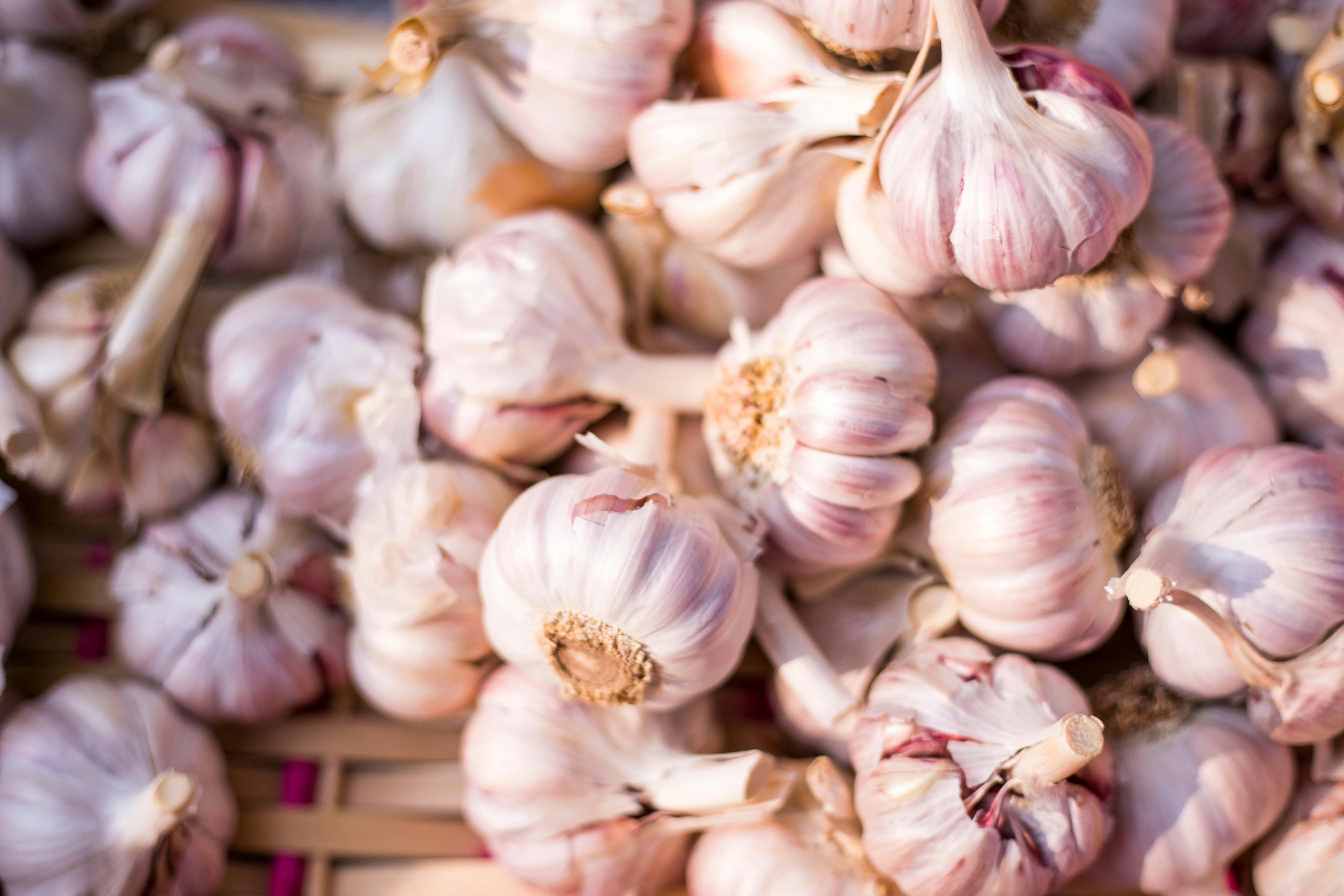Which Place Is Known As The Garlic City Of India?