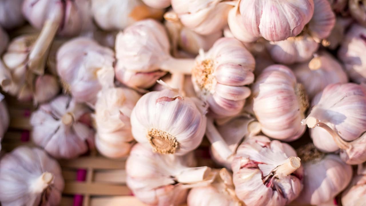 Which Place Is Known As The Garlic City Of India?