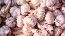 Which Place Is Known As The Garlic City Of India?