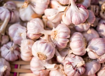 Which Place Is Known As The Garlic City Of India?