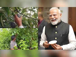 PM Modi's New Video Highlights Avocado Boom In India, Shares Andhra Farmer's Success Story