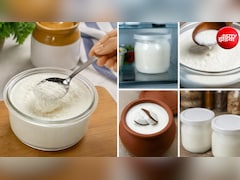 दही को खट्टा होने से कैसे बचाए? 5 हैक्स, जिससे स्वाद दही का स्वाद रहेगा बरकरार