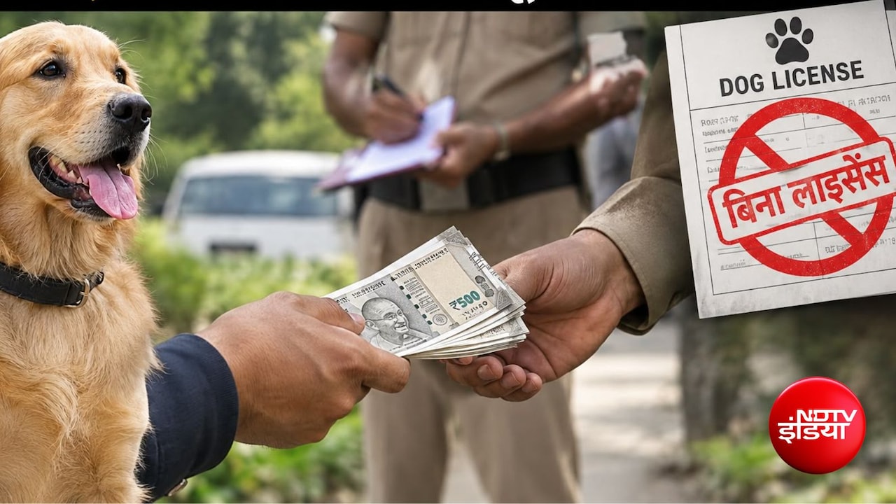 UP: कुत्ता पाल रहे हैं तो हो जाएं सावधान, बिना लाइसेंस तीन लोगों से वसूले गए 15 हजार रुपये