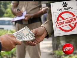 UP: कुत्ता पाल रहे हैं तो हो जाएं सावधान, बिना लाइसेंस तीन लोगों से वसूले गए 15 हजार रुपये