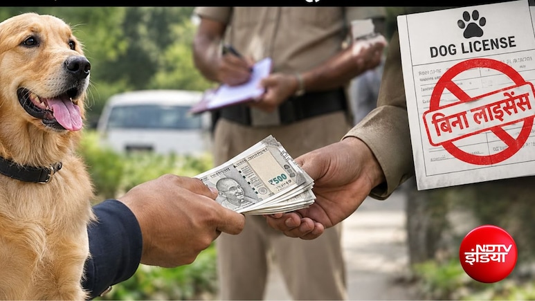 UP: कुत्ता पाल रहे हैं तो हो जाएं सावधान, बिना लाइसेंस तीन लोगों से वसूले गए 15 हजार रुपये