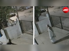 लंगूर ने मारा धक्का, आंगन में धड़ाम से गिरी महिला की मौत, Video आया सामने