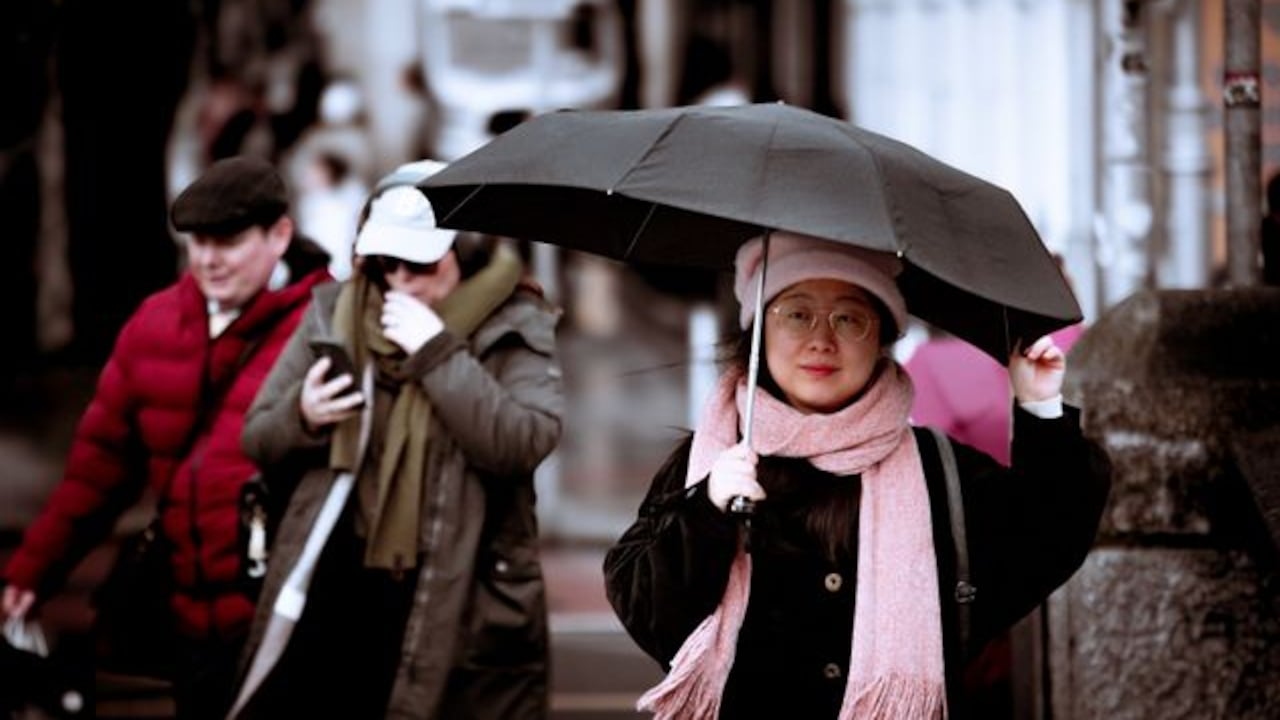Must-have umbrellas with wider canopies Must-have umbrellas with wider canopies
